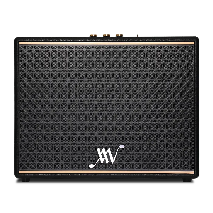 Loa Bluetooth Retro Alpha Works Classic V100 - Chính hãng PGI